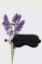 صورة The Lavender Weighted Satin Eye Mask